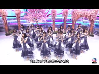 music station 2020 04 03 nogizaka46 - girl's rule shiawase no hogoshoku